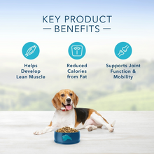 Load image into Gallery viewer, Blue Buffalo Life Protection Formula Healthy Weight Adult Chicken &amp; Brown Rice Recipe Dry Dog Food
