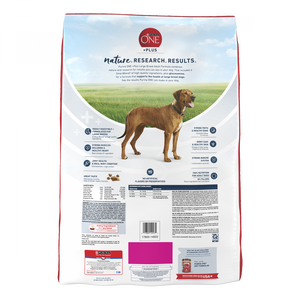 Purina ONE SmartBlend Large Breed Adult Dry Dog Food