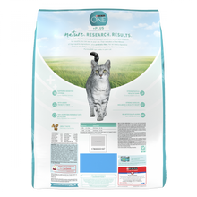 Load image into Gallery viewer, Purina ONE Sensitive Systems Dry Cat Food
