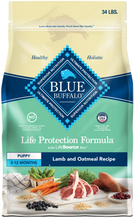 Load image into Gallery viewer, Blue Buffalo Life Protection Formula Puppy Lamb &amp; Oatmeal Recipe Dry Dog Food
