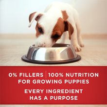 Load image into Gallery viewer, Purina ONE SmartBlend Classic Healthy Puppy Ground Lamb &amp; Long Grain Rice Canned Dog Food
