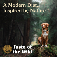 Load image into Gallery viewer, Taste of the Wild Ancient Prairie with Ancient Grains Dry Dog Food
