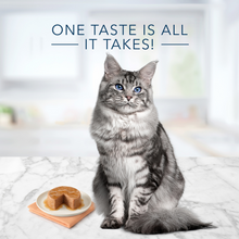 Load image into Gallery viewer, Blue Buffalo Tastefuls Chicken Pate Entree for Mature Cats Wet Cat Food
