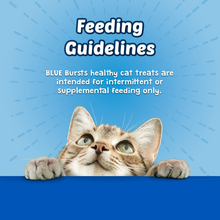 Load image into Gallery viewer, Blue Buffalo Bursts Filled Chicken Cat Treats
