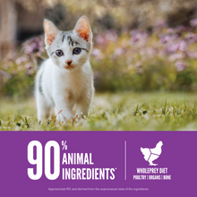 Load image into Gallery viewer, ORIJEN Grain-Free Kitten Recipe Dry Cat Food
